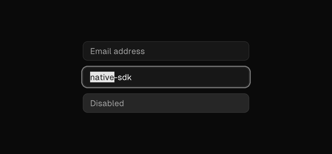 Text inputs rendered by the engine (dark theme)