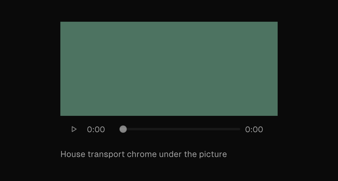 A video element rendering its placeholder with the house transport chrome (dark theme)