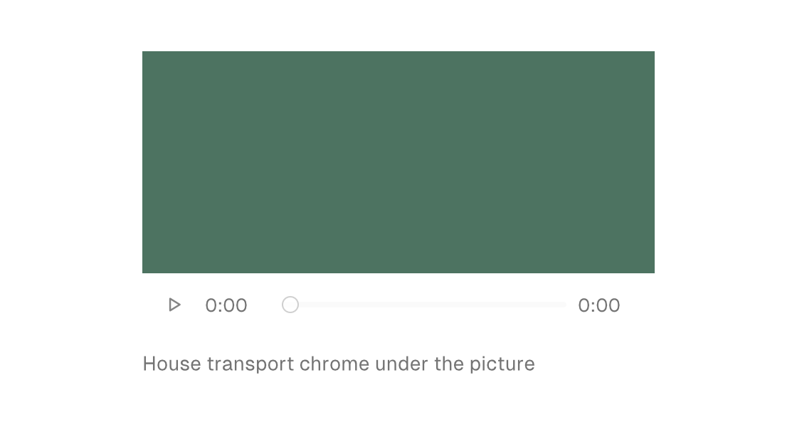 A video element rendering its placeholder with the house transport chrome (light theme)